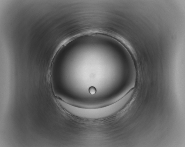 X0000113551097200909251033