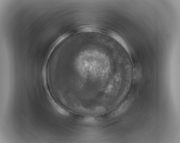 X0000113551098200909251033