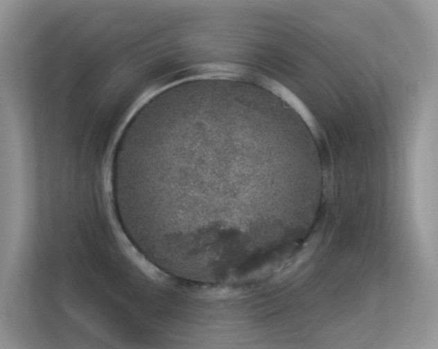 X0000113551099200909251033