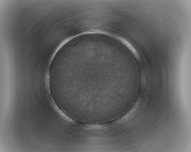 X0000113551100200909251033