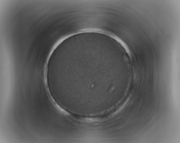 X0000113551102200909251033