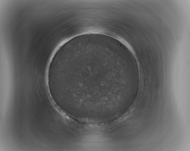 X0000113551104200909251033