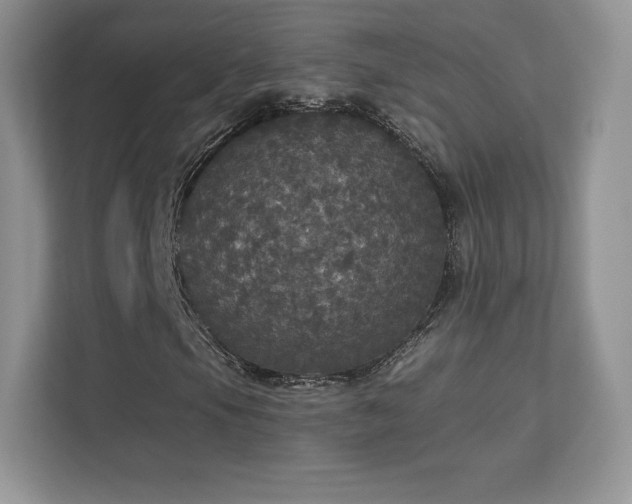 X0000113551105200909251032