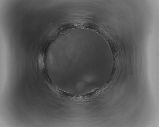 X0000113551106200909251032