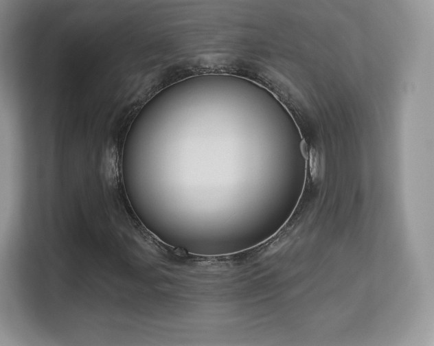 X0000113551107200909251032