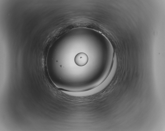 X0000113551108200909251032