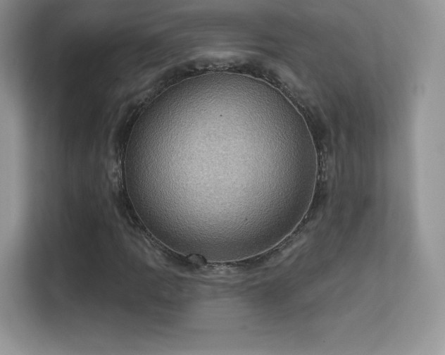 X0000113551109200909251032