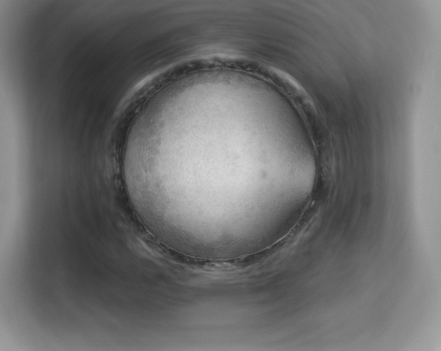 X0000113551112200909251032