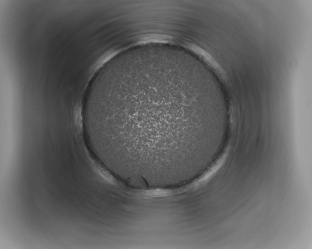 X0000113551113200909251032