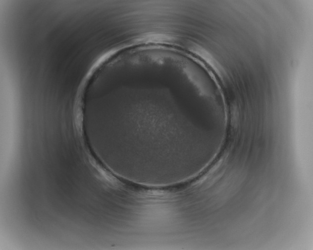 X0000113551115200909251032