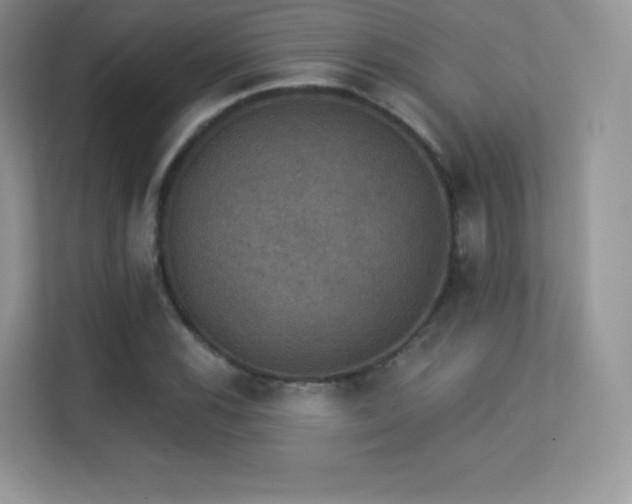 X0000113551116200909251032