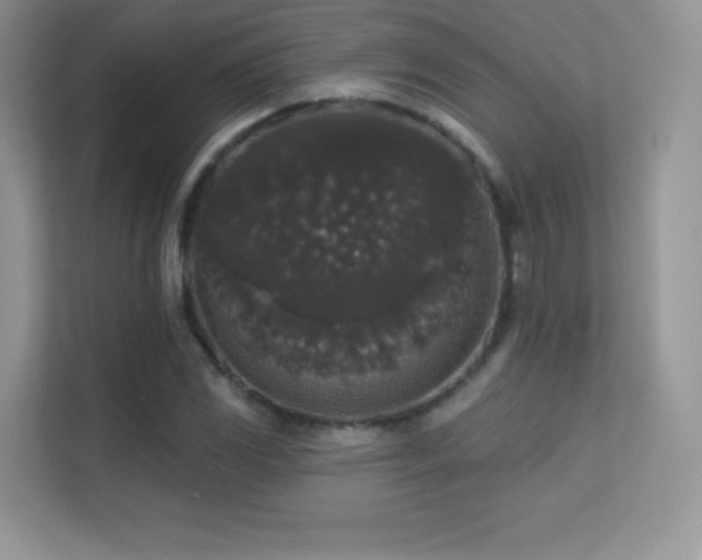 X0000113551117200909251032