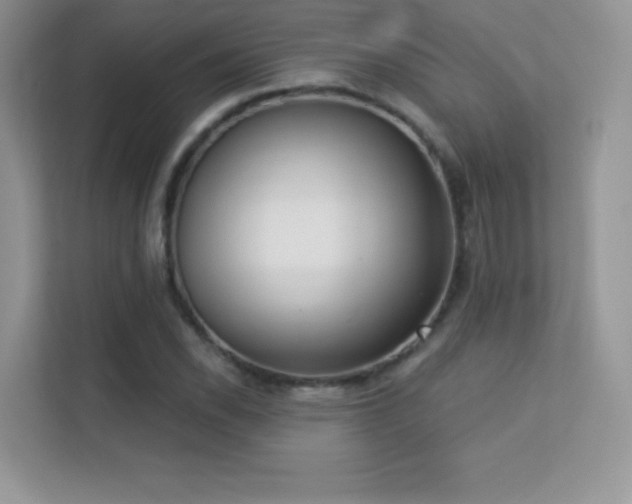 X0000113551118200909251032