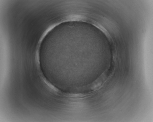 X0000113551120200909251032