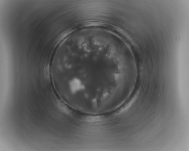 X0000113551121200909251032