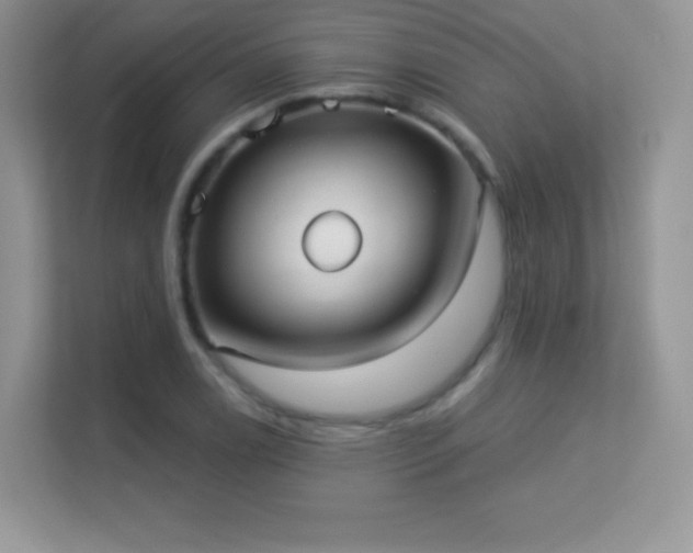 X0000113551122200909251032