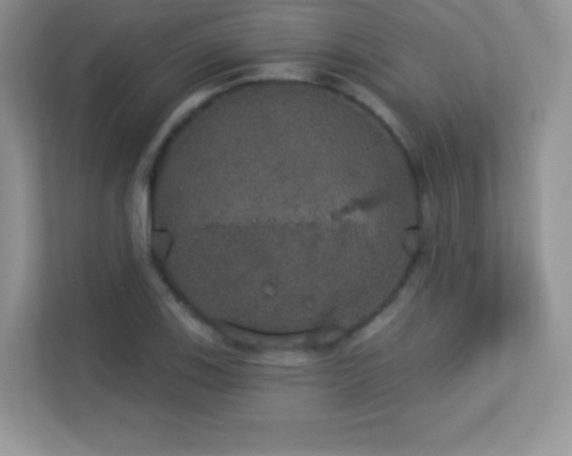 X0000113551123200909251032