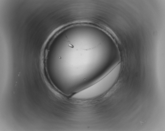 X0000113551124200909251032