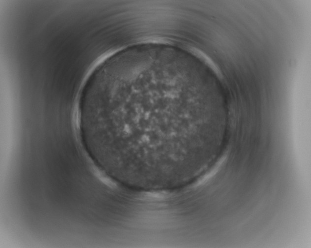 X0000113551125200909251032