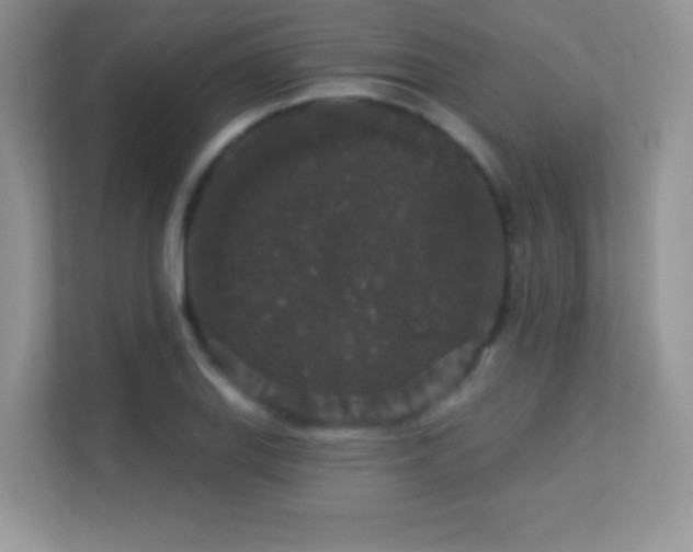 X0000113551127200909251032