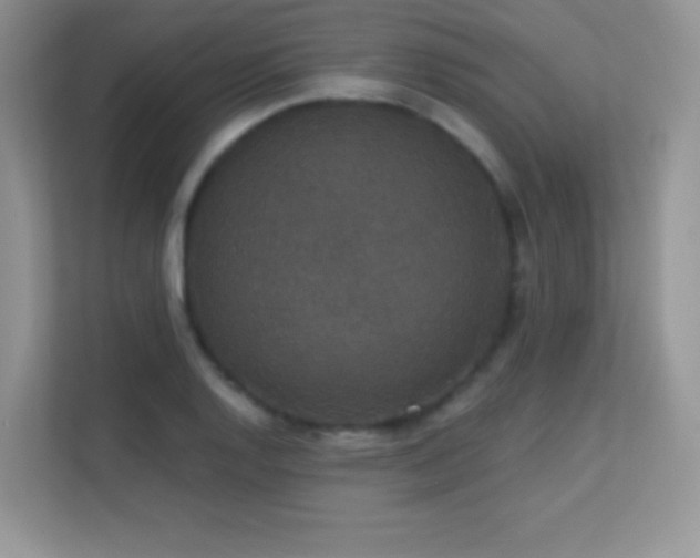 X0000113551128200909251032