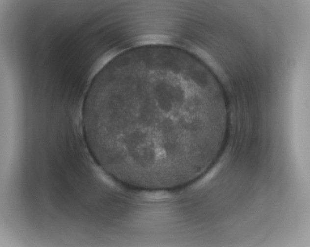 X0000113551129200909251032