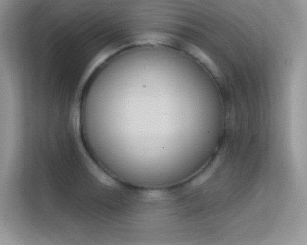 X0000113551130200909251032