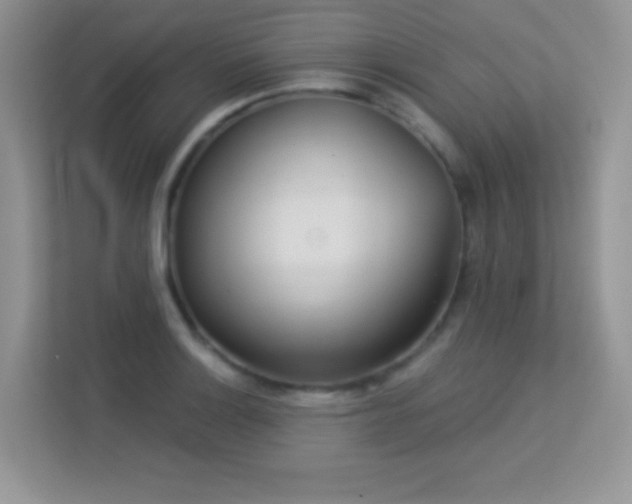 X0000113551132200909251032