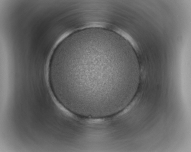 X0000113551135200909251032