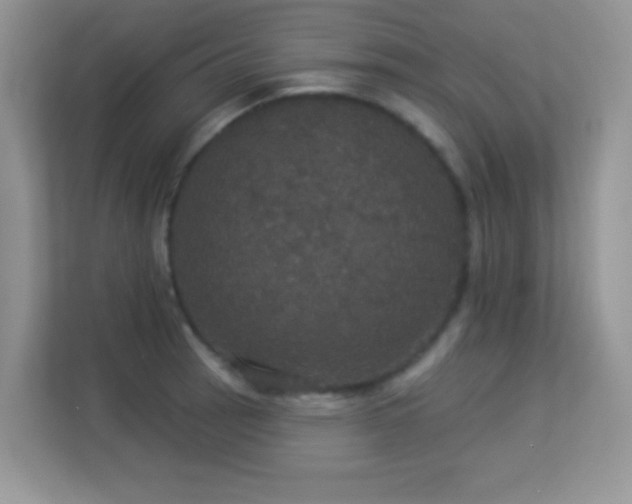 X0000113551137200909251032