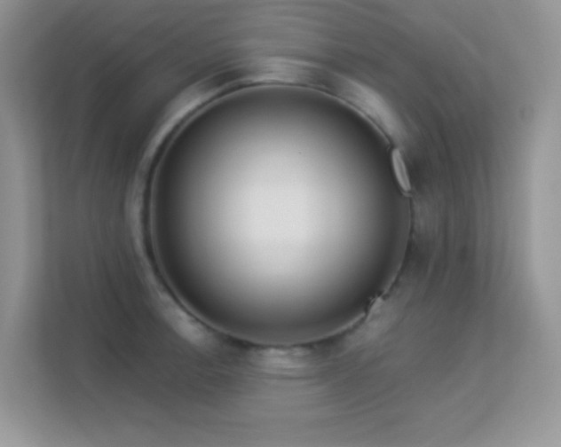 X0000113551138200909251032