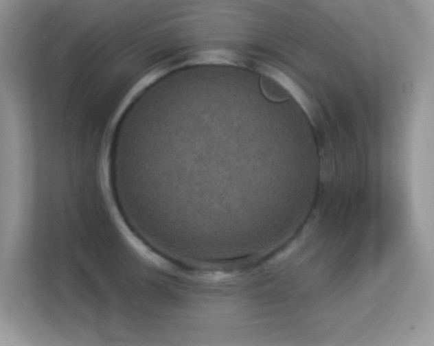 X0000113551139200909251032