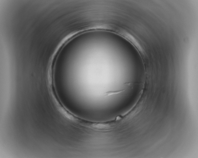 X0000113551140200909251032