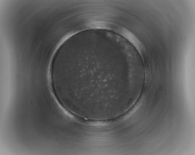 X0000113551141200909251032