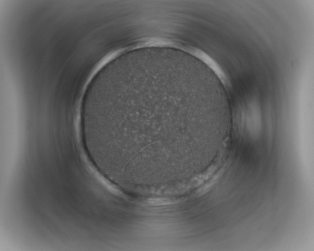 X0000113551142200909251032