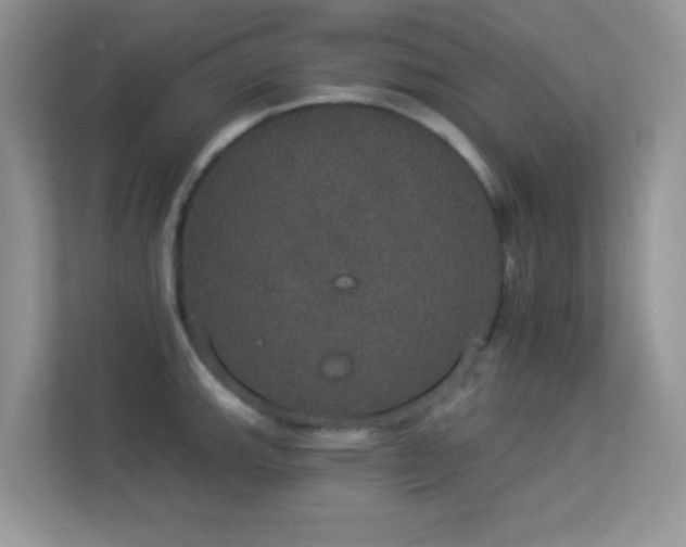 X0000113551143200909251032