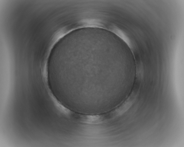 X0000113551144200909251032