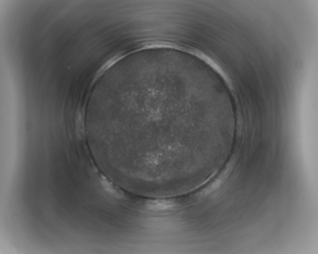 X0000113551145200909251032