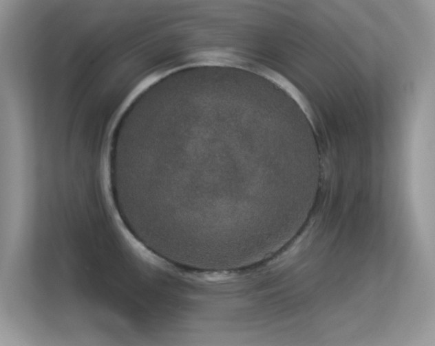 X0000113551147200909251033