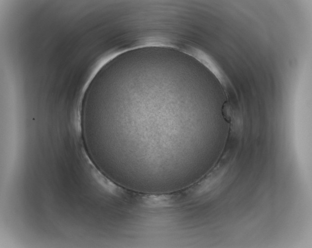 X0000113551148200909251033