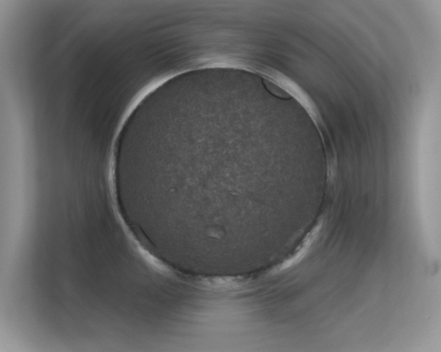 X0000113551149200909251033