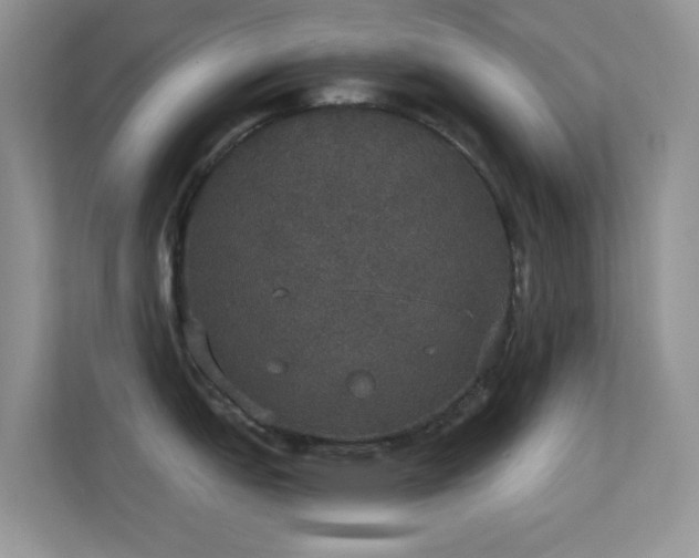 X0000113551151200909251033