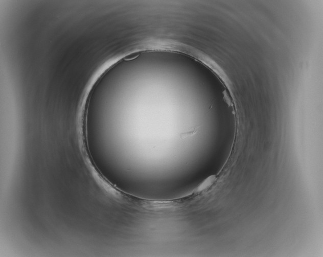 X0000113551152200909251033