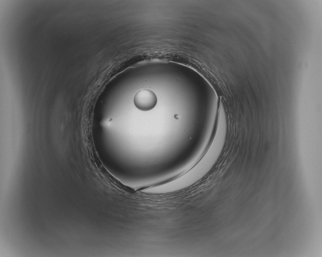 X0000113551153200909251032