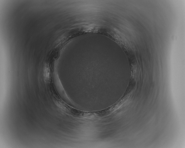 X0000113551154200909251032