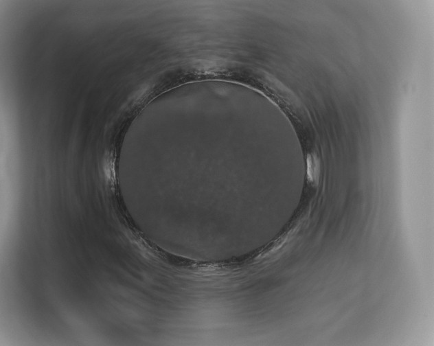 X0000113551155200909251032