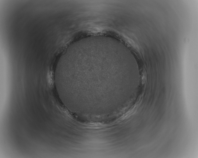 X0000113551156200909251032