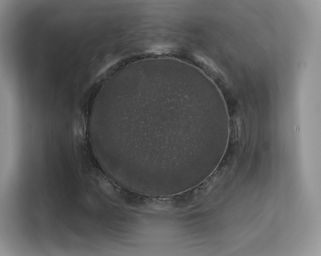 X0000113551158200909251032