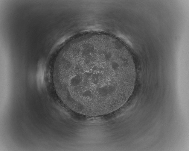 X0000113551159200909251032