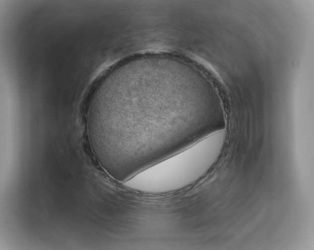 X0000113551160200909251032